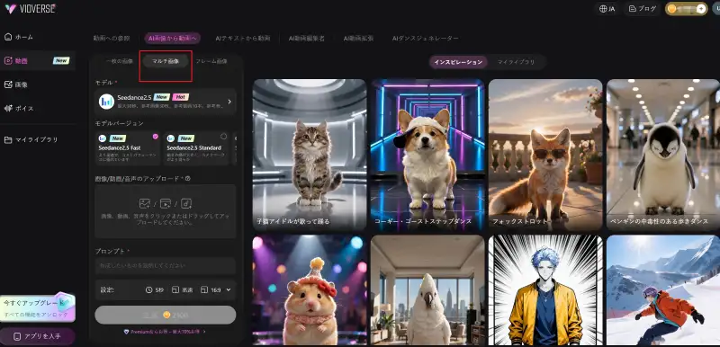 vidverse Mulity Images.webp